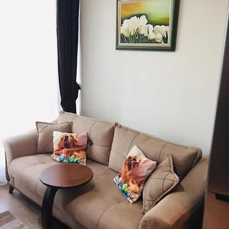 Toplu Ulaşıma Yakın Site İçinde Hijyenik 1+1 Daire Apartamento