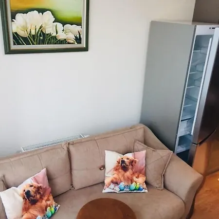 Toplu Ulaşıma Yakın Site İçinde Hijyenik 1+1 Daire Apartamento