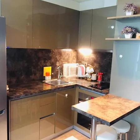 Toplu Ulaşıma Yakın Site İçinde Hijyenik 1+1 Daire Istambul