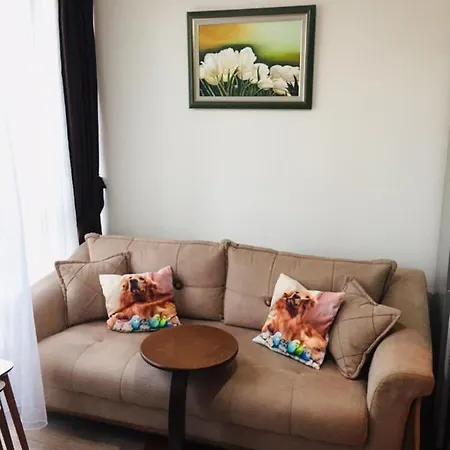 Apartamento Toplu Ulaşıma Yakın Site İçinde Hijyenik 1+1 Daire Istambul