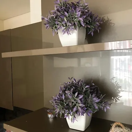 Apartamento Toplu Ulaşıma Yakın Site İçinde Hijyenik 1+1 Daire Istambul